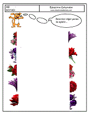 Eşleştirme Çalışmaları